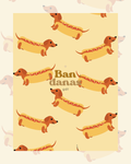 Bandana Perro Salchicha