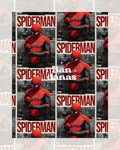 Gorrito Spiderman