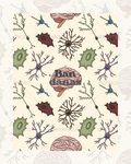 Bandana Dendritas
