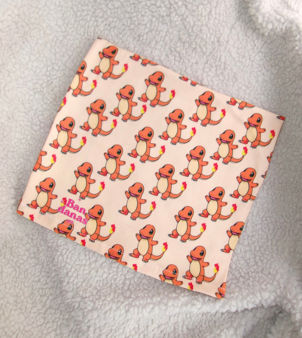 Bandana Charmander