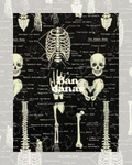 Bandana Bones